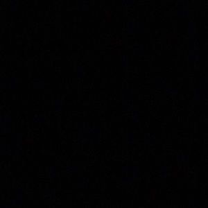 Meet your Posher, Lucy